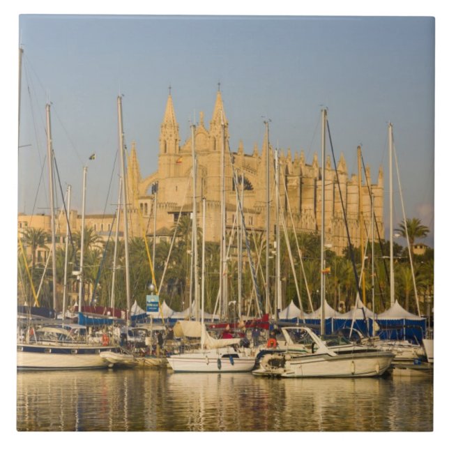 Kathedrale und Jachthafen, Palma, Mallorca, Spanie Fliese (Vorderseite)