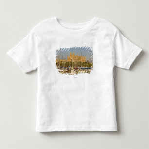 Kathedrale und Jachthafen, Palma, Mallorca, Spanie Kleinkind T-shirt