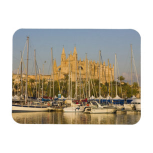 Kathedrale und Jachthafen, Palma, Mallorca, Spanie Magnet