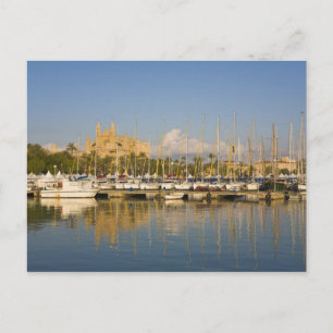 Kathedrale und Jachthafen, Palma, Mallorca, Spanie Postkarte