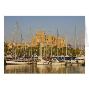 Kathedrale und Marina, Palma, Mallorca, Spanien 2