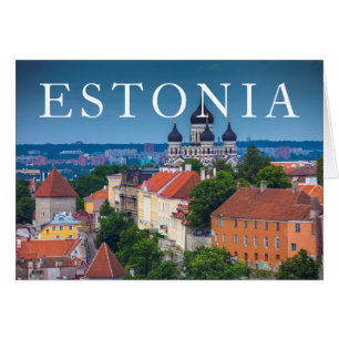 Kathedrale und Stadtbild Estland