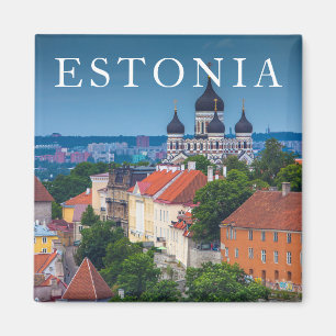 Kathedrale und Stadtbild  Estland Magnet