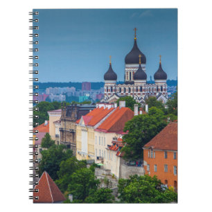 Kathedrale und Stadtbild Estland Notizblock