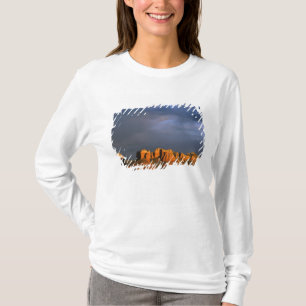 Kathedralenfelsen in Sedona Arizona T-Shirt