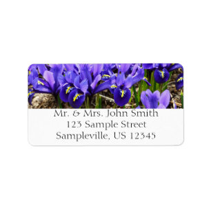Katherine Hodgkin Irises Lila Frühlingsfloral Adressaufkleber