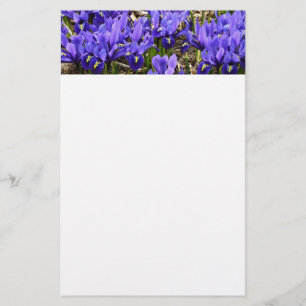 Katherine Hodgkin Irises Lila Frühlingsfloral Briefpapier