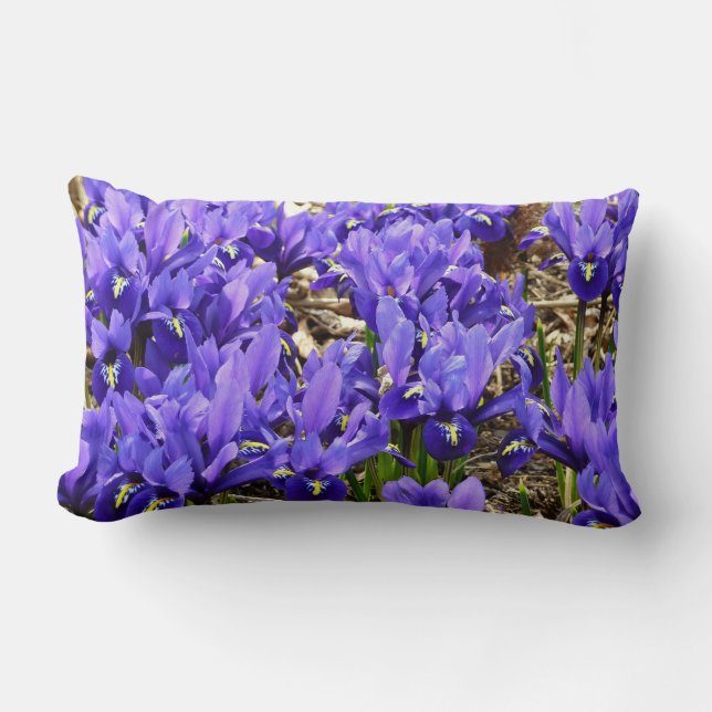Katherine Hodgkin Irises Lila Frühlingsfloral Lendenkissen (Vorderseite)