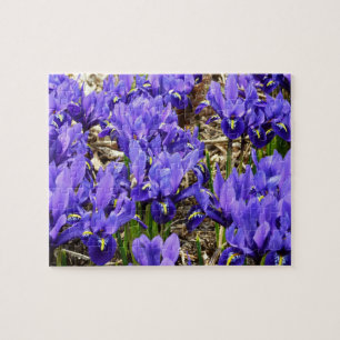 Katherine Hodgkin Irises Lila Frühlingsfloral Puzzle