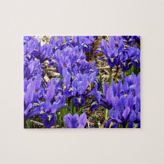 Katherine Hodgkin Irises Lila Frühlingsfloral Puzzle (Horizontal)