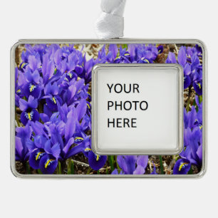 Katherine Hodgkin Irises Lila Frühlingsfloral Rahmen-Ornament Silber