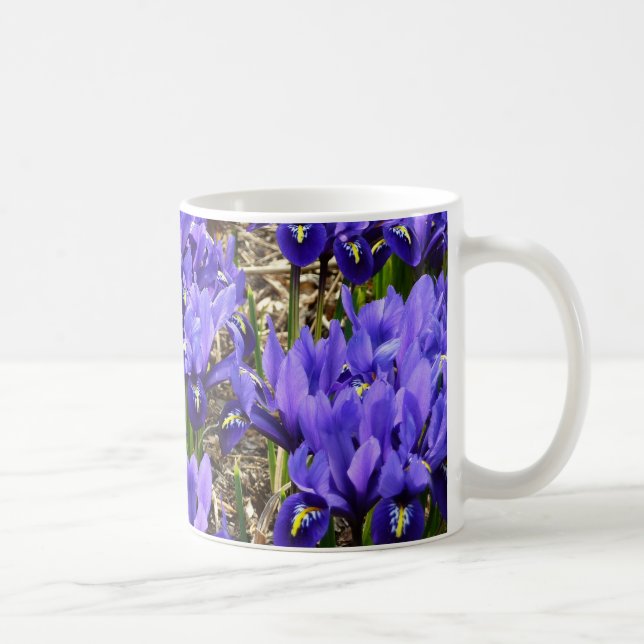 Katherine Hodgkin Irises Lila Frühlingsfloral Tasse (Rechts)
