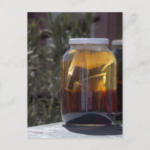 Kathy's kosmische Kowgirl Tea Postkarte