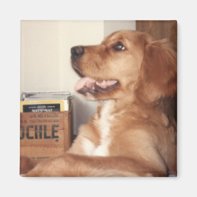 Katie Magnet (Vorne)