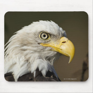 Katmai Nationalpark, Alaska Mousepad