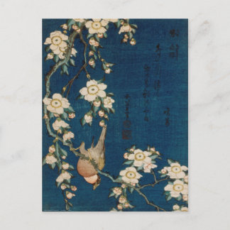 Katsushika Hokusai 葛 飾 北 Goldfinch und Kirschbaum  Postkarte