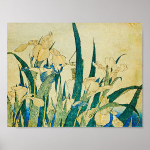 Katsushika Hokusai-blühende Ire und Grasshopp Poster