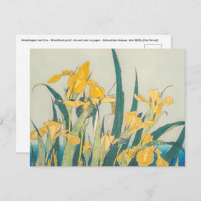 Katsushika Hokusai - Grasshopper und Iris Postkarte (Vorne/Hinten)