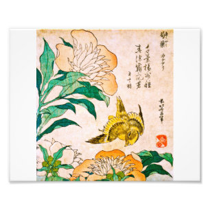 Katsushika Hokusai - Pfingstrose und Kanarienvogel Fotodruck