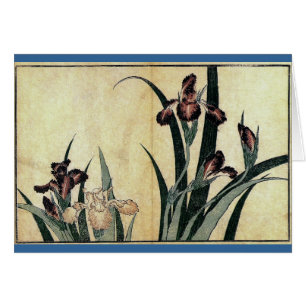 Katsushika Hokusais Ukiyo-e Woodcut Print: Irische