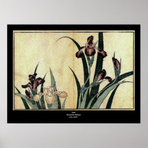 Katsushika Hokusais Ukiyo-e Woodcut Print: Irische Poster