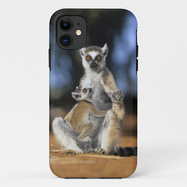 Kattenmaki, (Lemur catta), Mutter und Case-Mate iPhone Hülle (Rückseite)