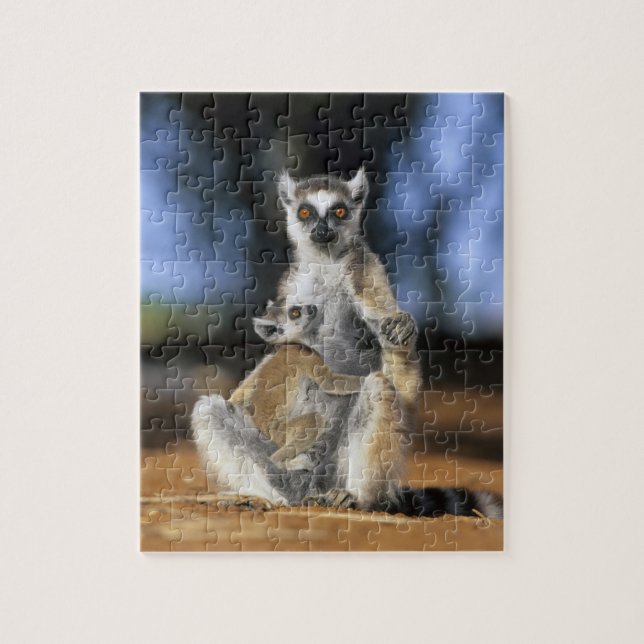 Kattenmaki, (Lemur catta), Mutter und Puzzle (Vertikal)
