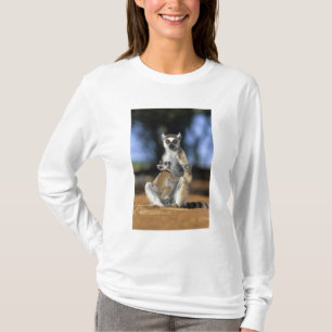 Kattenmaki, (Lemur catta), Mutter und T-Shirt