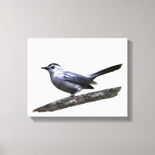 Katvogel Leinwanddruck