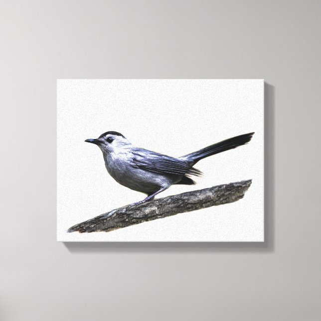 Katvogel Leinwanddruck (Vorderseite)