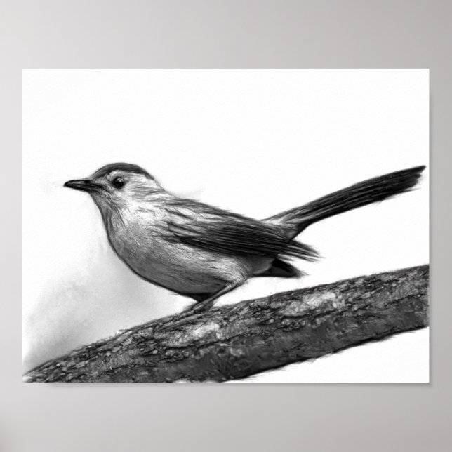 Katvogel Poster (Vorne)