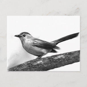 Katvogel Postkarte