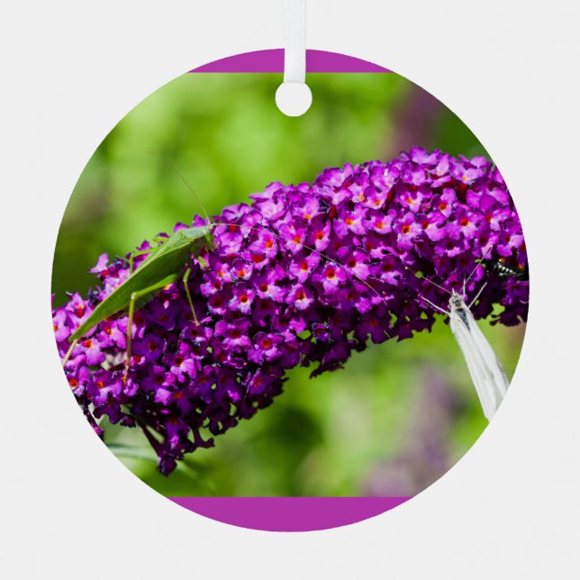 katydid Energy Keramik Ornament Aus Metall (Vorderseite)