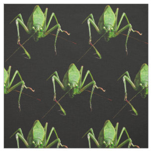 Katydid Gewebe Stoff