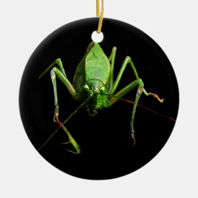 Katydid Keramikornament (Vorne)