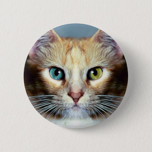 Katz Button (Vorderseite)