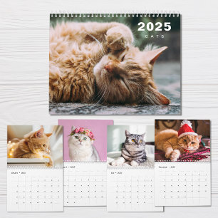 Katz-Foto-Collage Moderner Kalender 2025