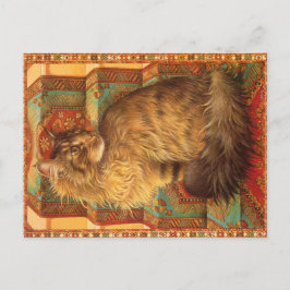 KATZBILDUNG POSTKARTE