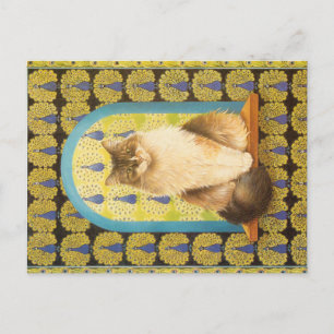 KATZBILDUNG  POSTKARTE