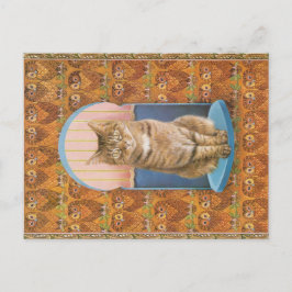 KATZBILDUNG POSTKARTE