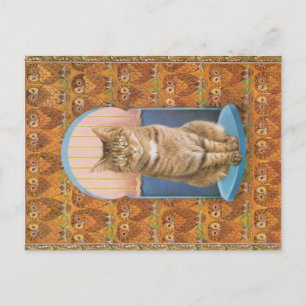 KATZBILDUNG  POSTKARTE