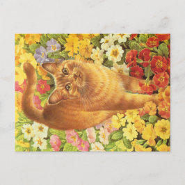 KATZBILDUNG POSTKARTE