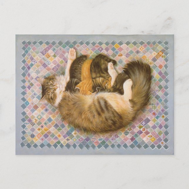 KATZBILDUNG POSTKARTE (Vorderseite)