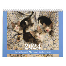 Kätzchen! 2024 Mein Kittenkalender für die Feralfr