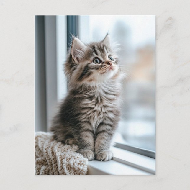 Kätzchen am Fenster Feiertagspostkarte (Vorderseite)