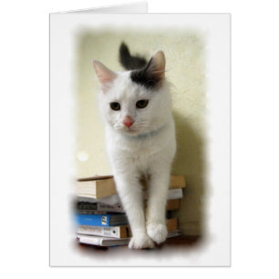 Kätzchen auf Buch-Karte