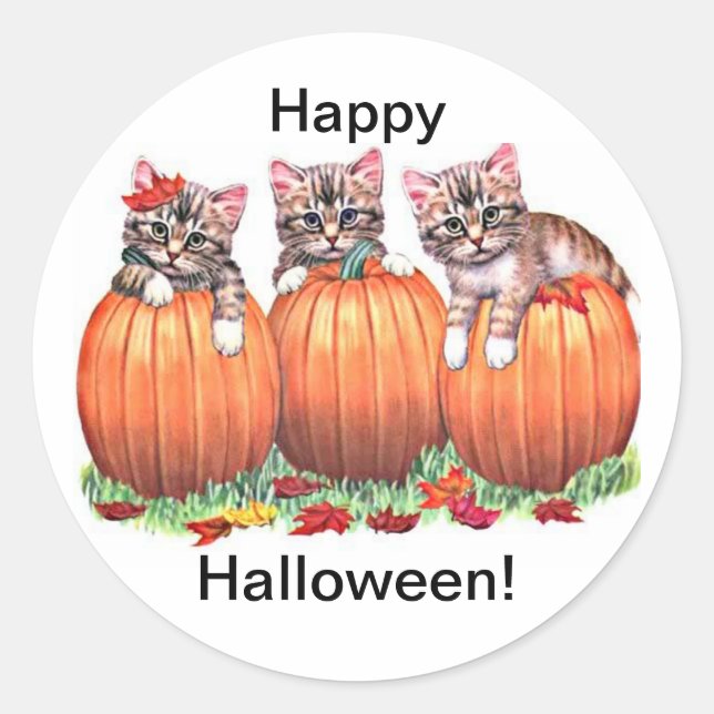 Kätzchen auf Kürpen für Halloween-Sticker Runder Aufkleber (Vorderseite)