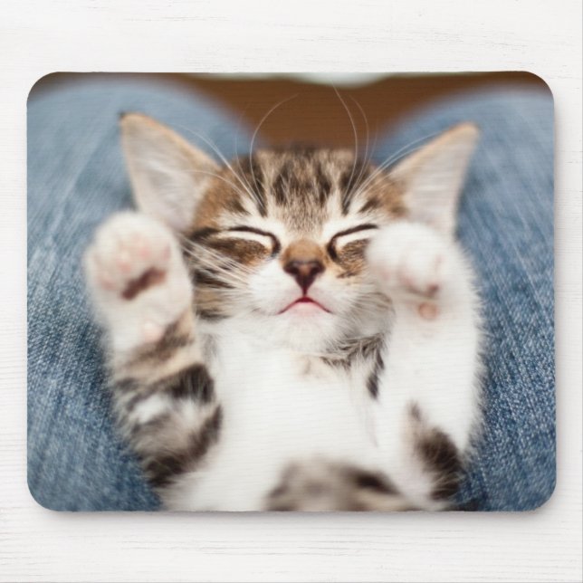Kätzchen auf meinem Schreibtisch Mousepad (Vorne)