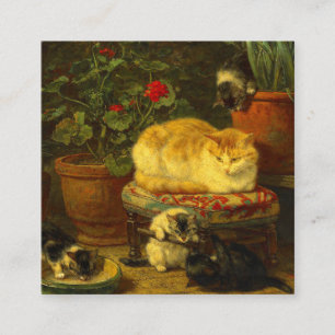 Kätzchen beim Spielen Begleitkarte