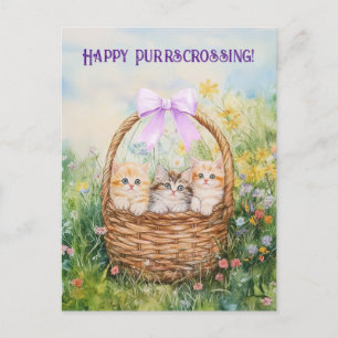 Kätzchen beim Überqueren - Postkarte